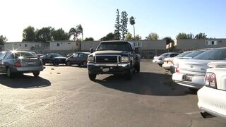 Hot brunette hair with large breasts rides a large hard ramrod!