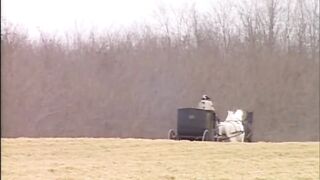 Red hair beauty snatch licking vagina banging cunt fingering in the castle