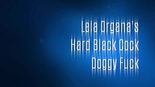 Leia Organa hard ebony dick doggy bang