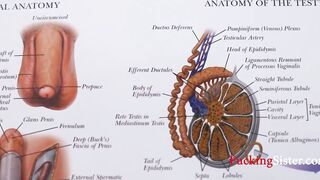 Teaching Step Sis Anything About Reproductive System