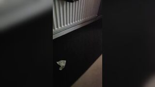 Step mommy hand slide on step son white pants touching his ramrod out of shame