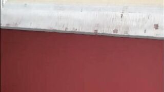 Blond and brunette hair gals record during the time that a impressive chap destroy their taut vaginas