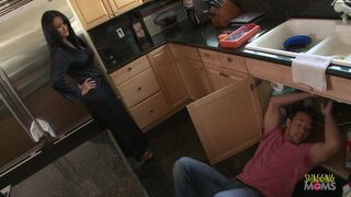 Lewd plumber gets to do greater amount than just fix some pipes