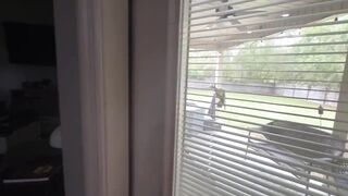 visiting my step cousin preview