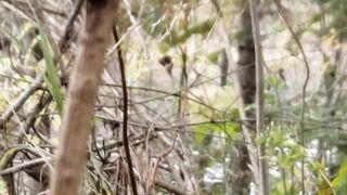 One more Outdoor Autumn Escape, Public exhibition with anal play. Very risky, nearly caught two