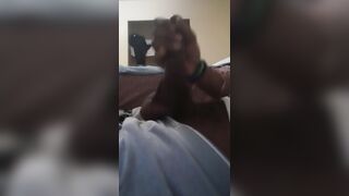 BBC IN NEED OF ASSIST