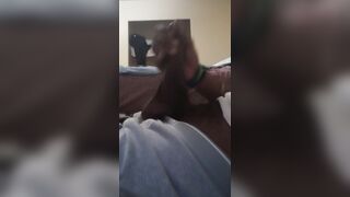 BBC IN NEED OF ASSIST