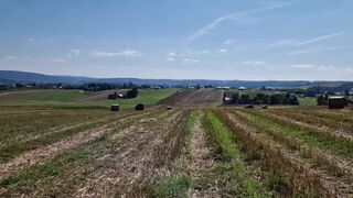 Ja po prostu lubię sex