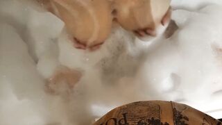 Polskie Porno Lubię spuszczać się do ust przyrodniej Belli mruczy jak kotka