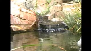 Blond with large bazookas takes a biggest knob