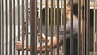 An exotic story for lovers of the softcore genre with