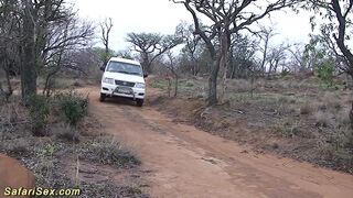 Afro outdoor safari screw fuckfest