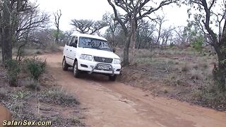 Afro outdoor safari screw fuckfest