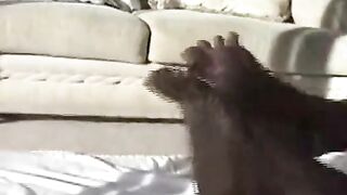 Best Ebony Foot Worship
