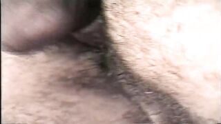 Tgirl Heart Throbs two