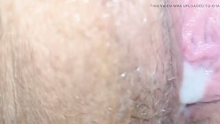 The married mare inseminated