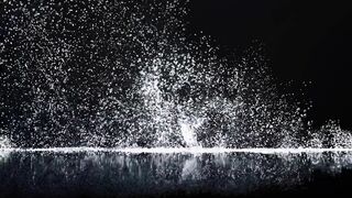 Alina Takes Her Bet to the Next Level