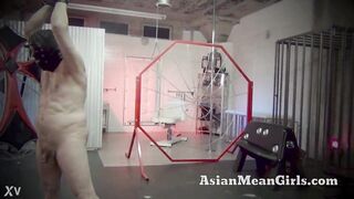 I Compel U to Supplicate for Lenience in Total Denial - Queen DarlaAsianMeanGirls.com Sadistic Oriental Mistresses Busting Balls, Locking Schlongs, and Owning Losers Worldwide. Submitting to us is what u merit.