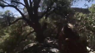 Screwing in the Sequoias