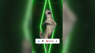 This babe didn’t speak. This babe didn’t must. Your fogged. Your heart skipped. And u realized also late — this wasn't a love story. This was a warning.