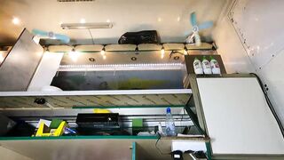 Sexy wench with no pants indeed turns me on at work