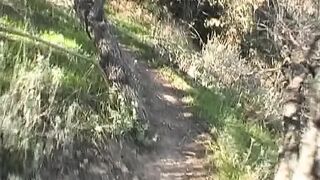 Biggest facial after hardcore anal bang with concupiscent French chick