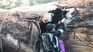 Sexy blond and Hot dude bang in the Sequoias