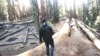 Sexy blond and Hot dude bang in the Sequoias