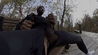 Public masturbation at the park
