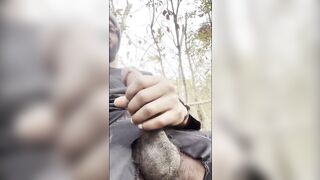 Public masturbation at the park