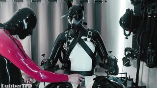 RUBBER PUP TIED [PP TRAINING]
