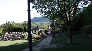 The lightning genius manages to grant wants and organizes