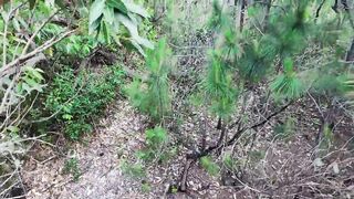 Drone footage captures pair having sex.