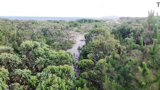 Drone footage captures pair having sex.