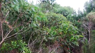 Drone footage captures pair having sex.