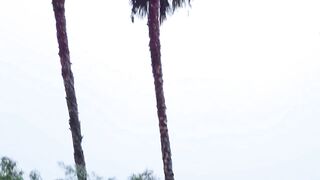 A Pleasant Rainy Day.