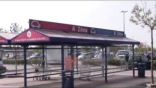 Visiting My Lesbians Aunts