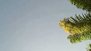 Sexxy Brandon: Pool Joy: Part three