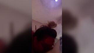 Bunny craves a carrot