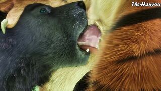 Wild Life 4K - Tiger X Wolf