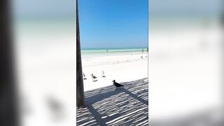 Gorgeous Beach Sweetheart Gets Lascivious in Paradise - Bare Snatch Play in Hammock NSFW VLOG TEASER