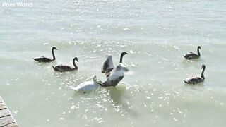 Rampant Robbery Part 1: Bi Besties Leya Desantis And Veronica Leal Share A Glass Sex-toy In The Sexy Tub GP3341