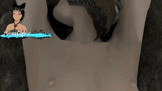 Skyrim B and L mod - Going throughout a quest with the companions and having sex in a cave