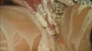 Juicy and dirty bitch wearing nylons and underware gets slammed