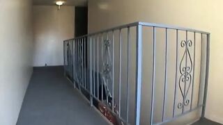 Lascivious wench eats cum after riding large shlong on the floor