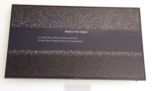 We're roommates! It's OK!