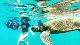 1ST TIME IN HAWAII - LUNA'S TOUR (MOVIE 25)