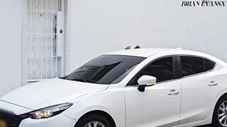 Aged Colombian Blond Monique Fuentes Bangs Her Driver in the Car - Brian Evansx