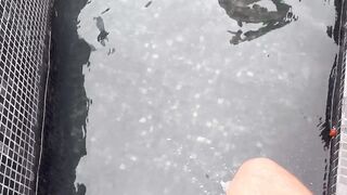 Argentina culona quiere pija en la pileta del depto -Eldesc0 FT CamiNoee