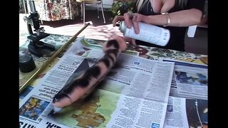 Celine Maxima the Princess and Her Eager Wants